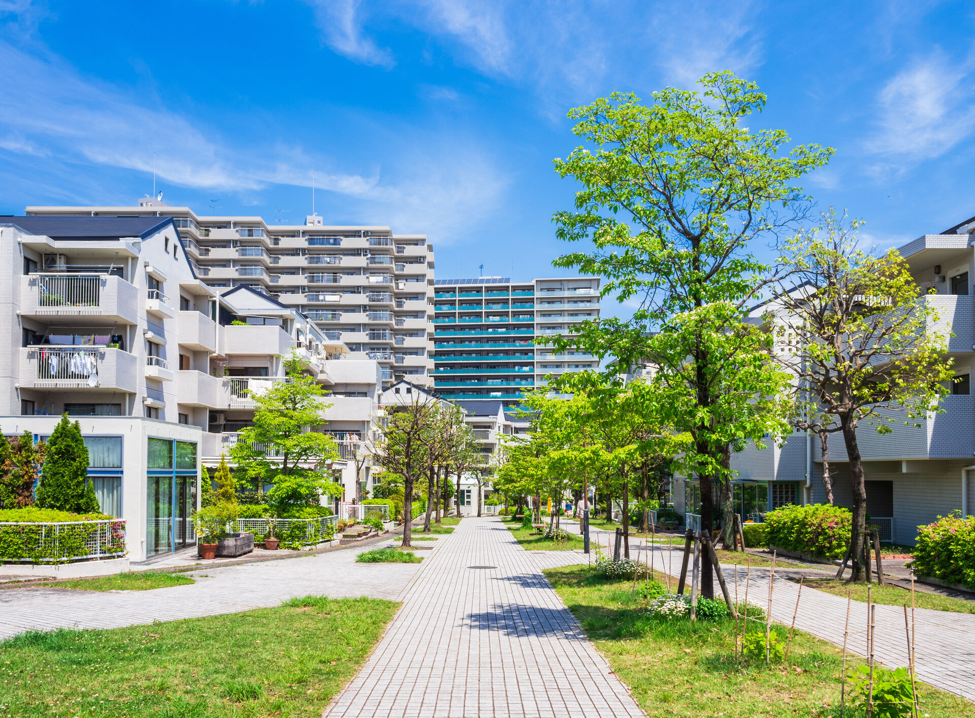 AdobeStock_267766120
